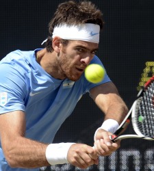 delpotro.jpg