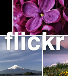 flickr-2