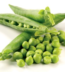 guisantes-mendel.jpg