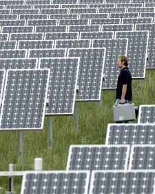 solares_paneles.JPG