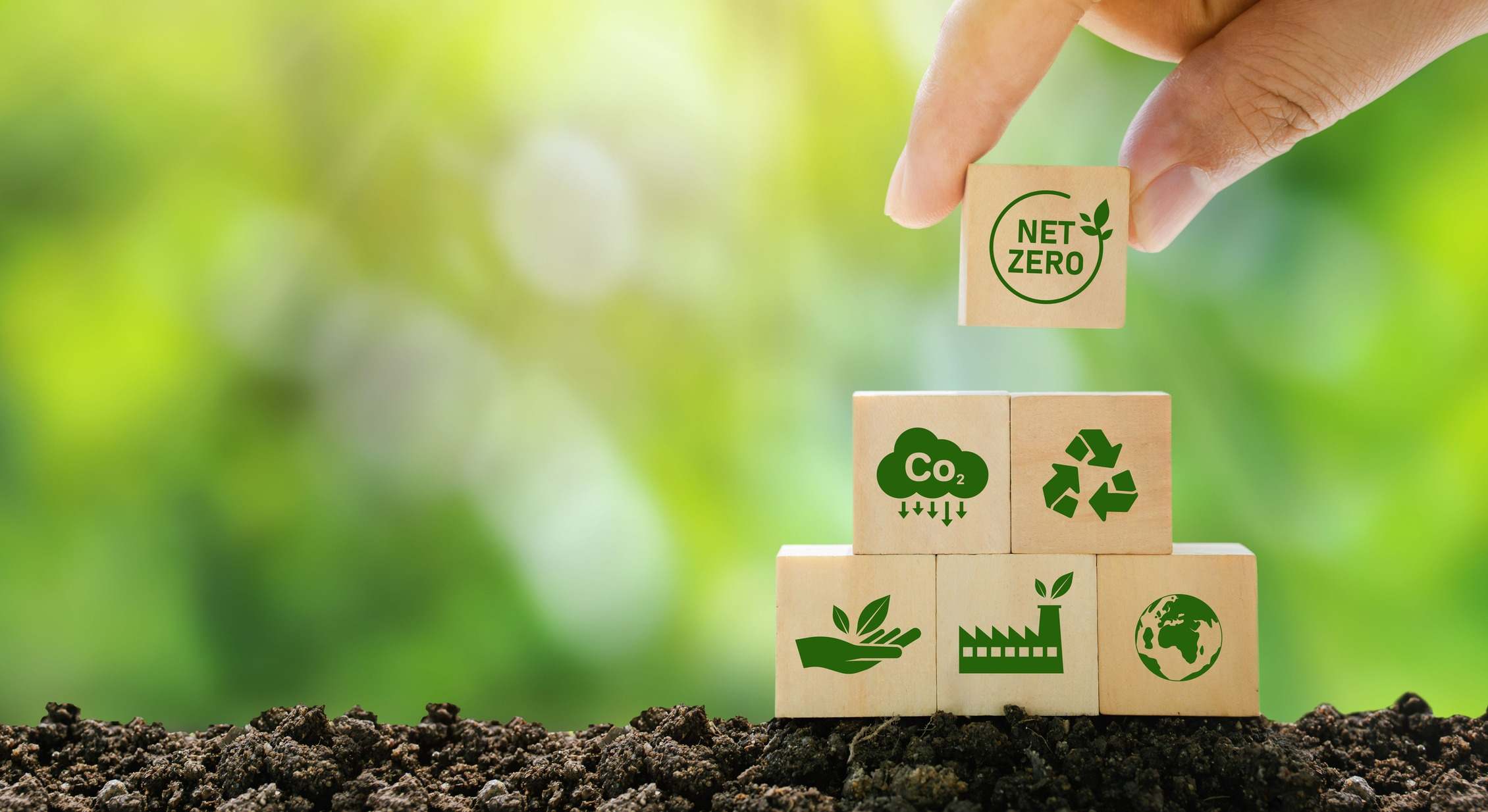 Sostenibilidad net zero