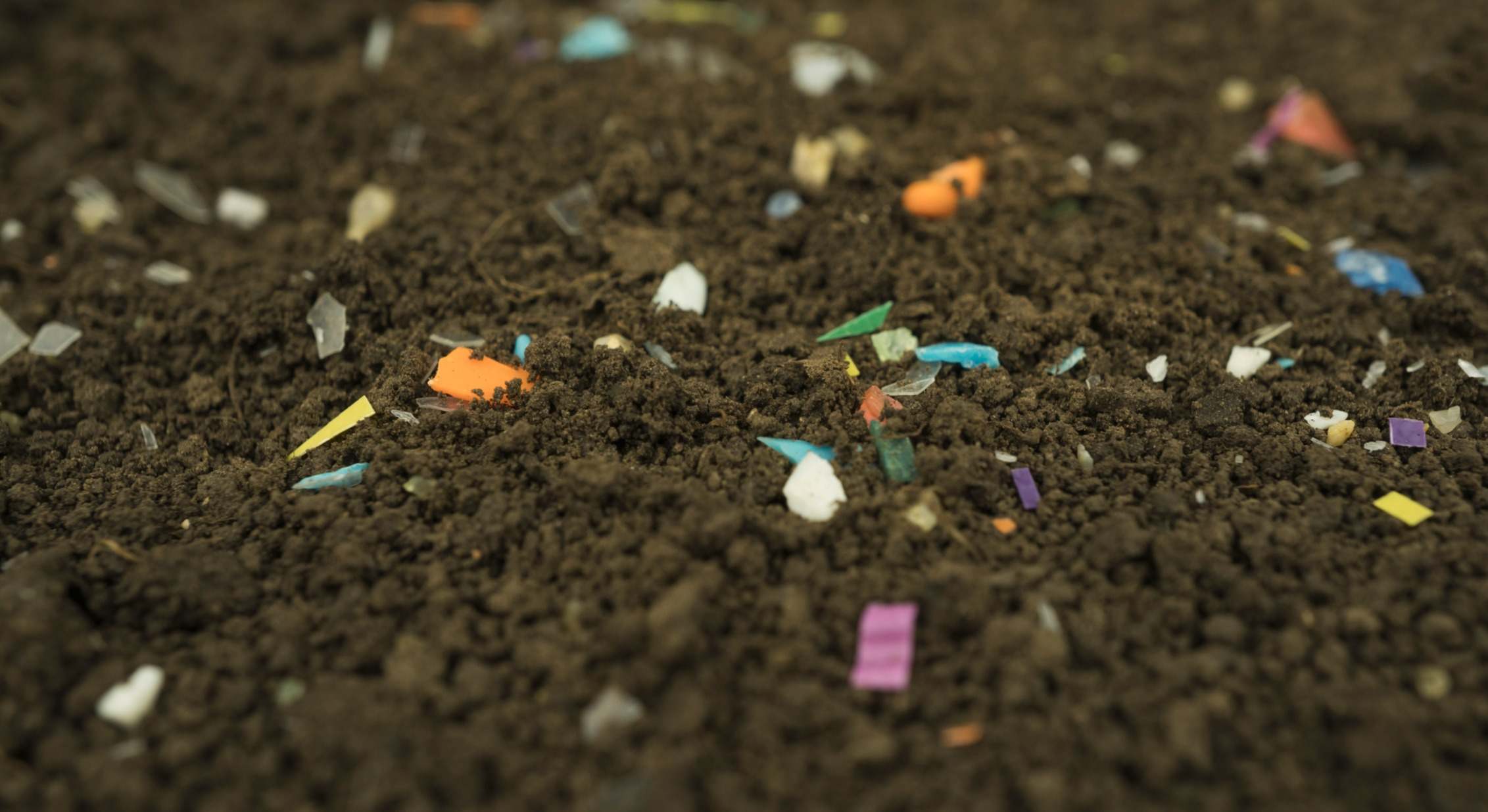 Microplásticos en la tierra