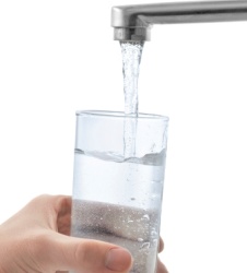 grifo-agua.jpg