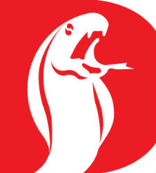 cobra-automotive.jpg