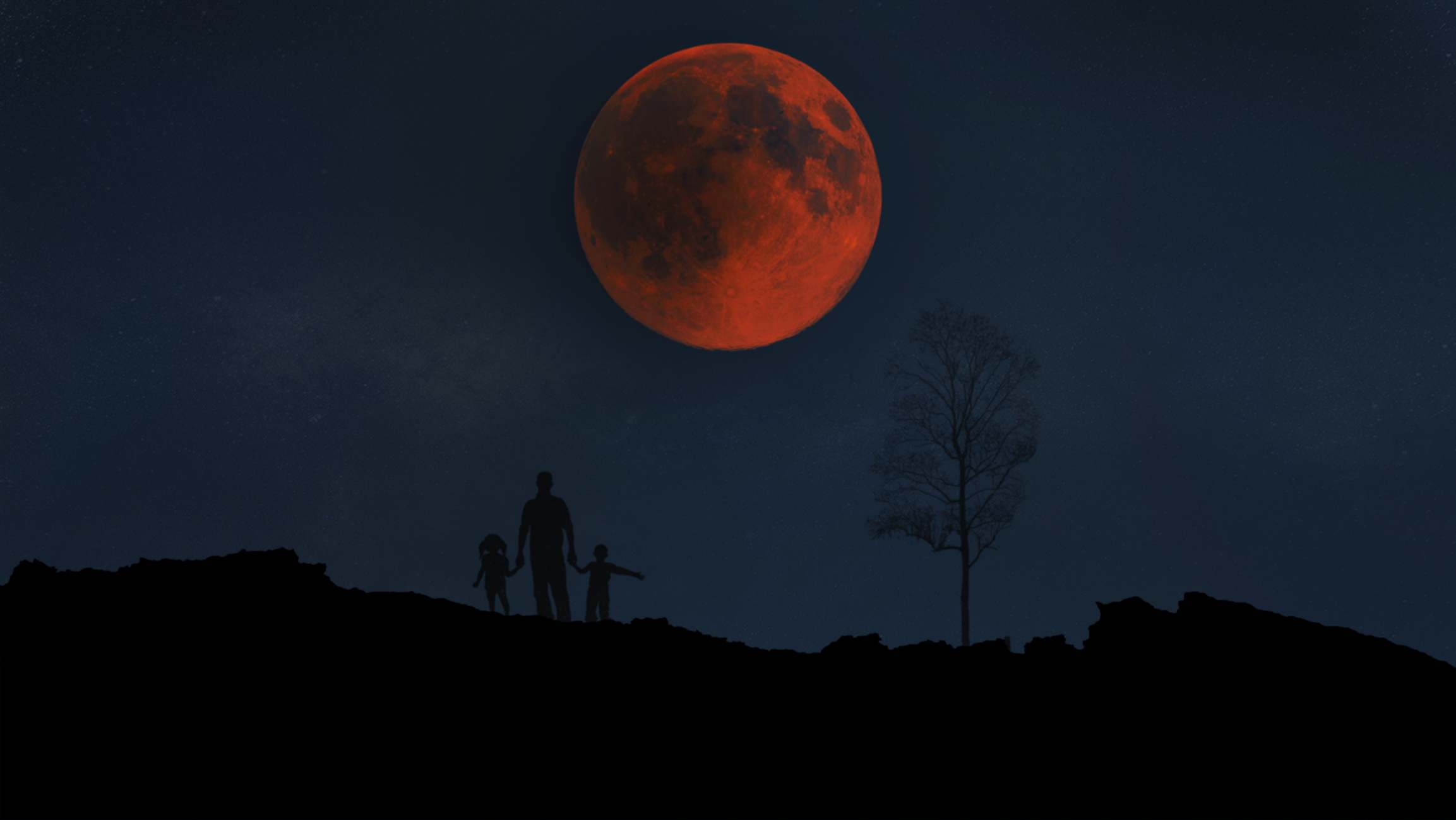 Eclipse total de Luna. / Foto: iStock