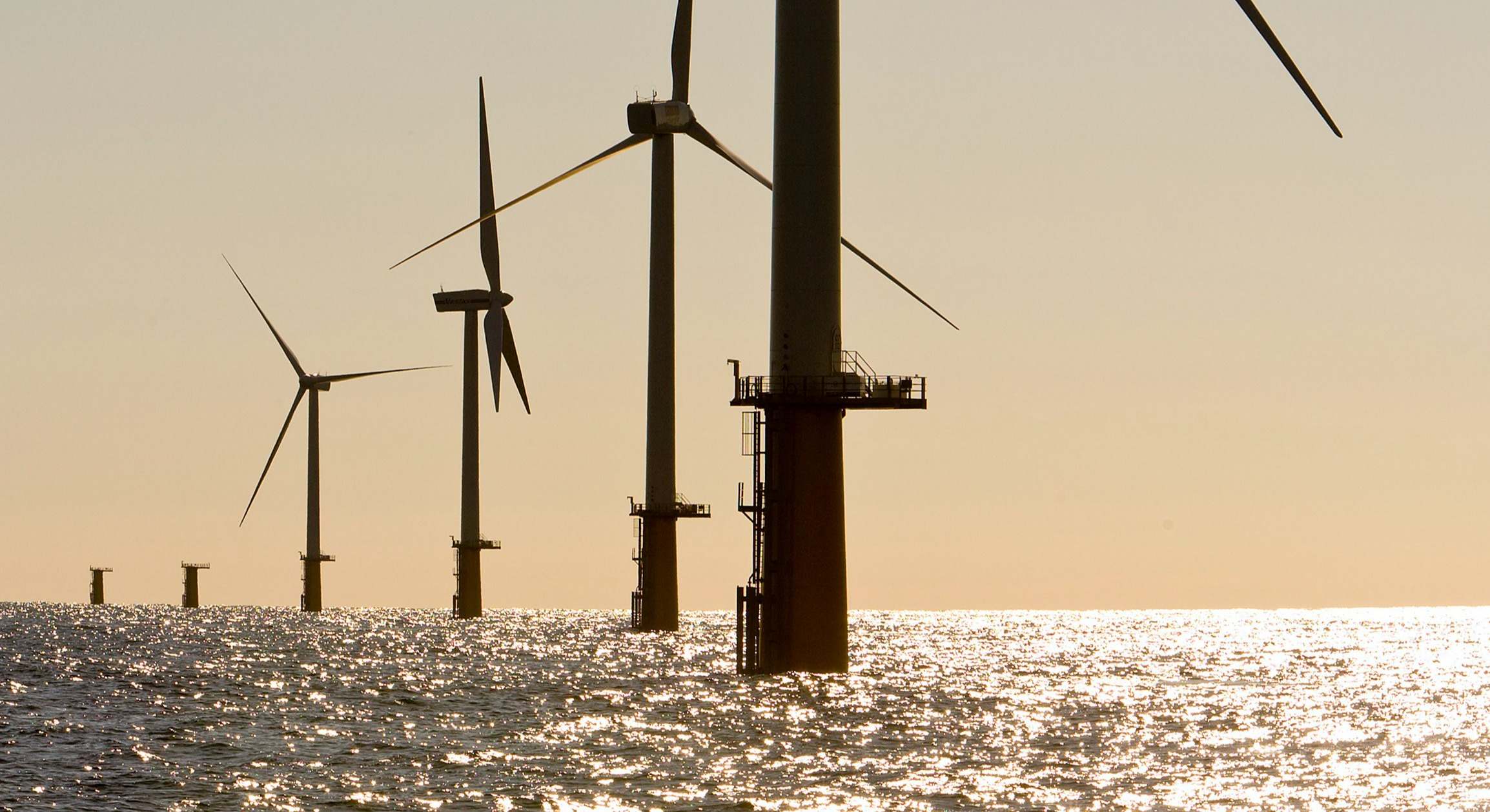Parque eólico offshore.