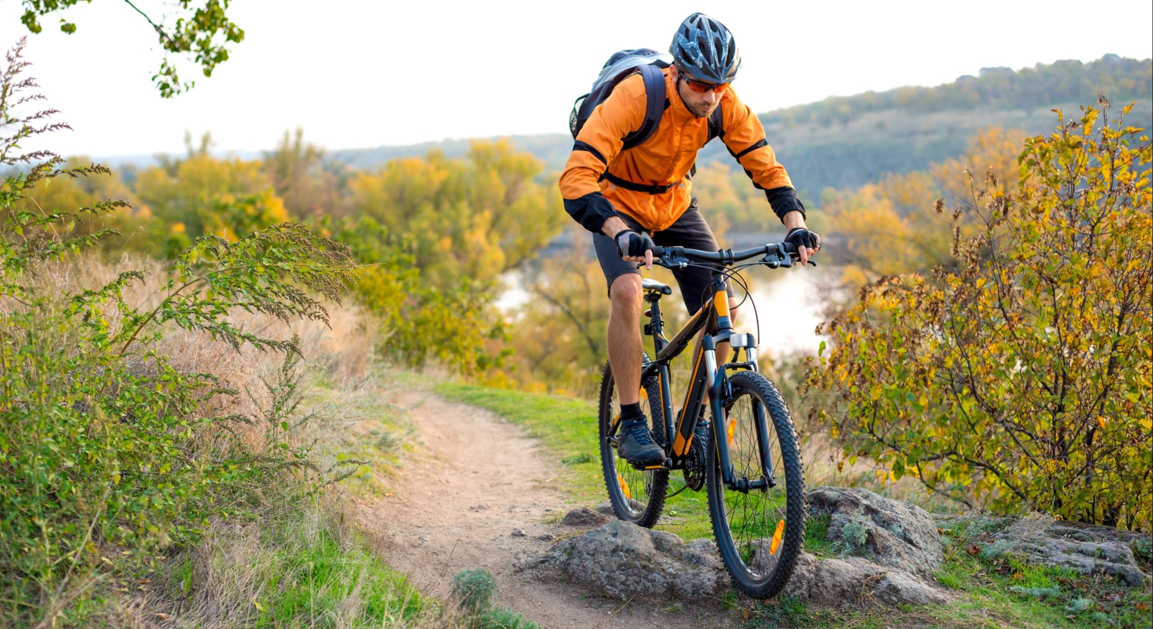 sector-bike.jpg