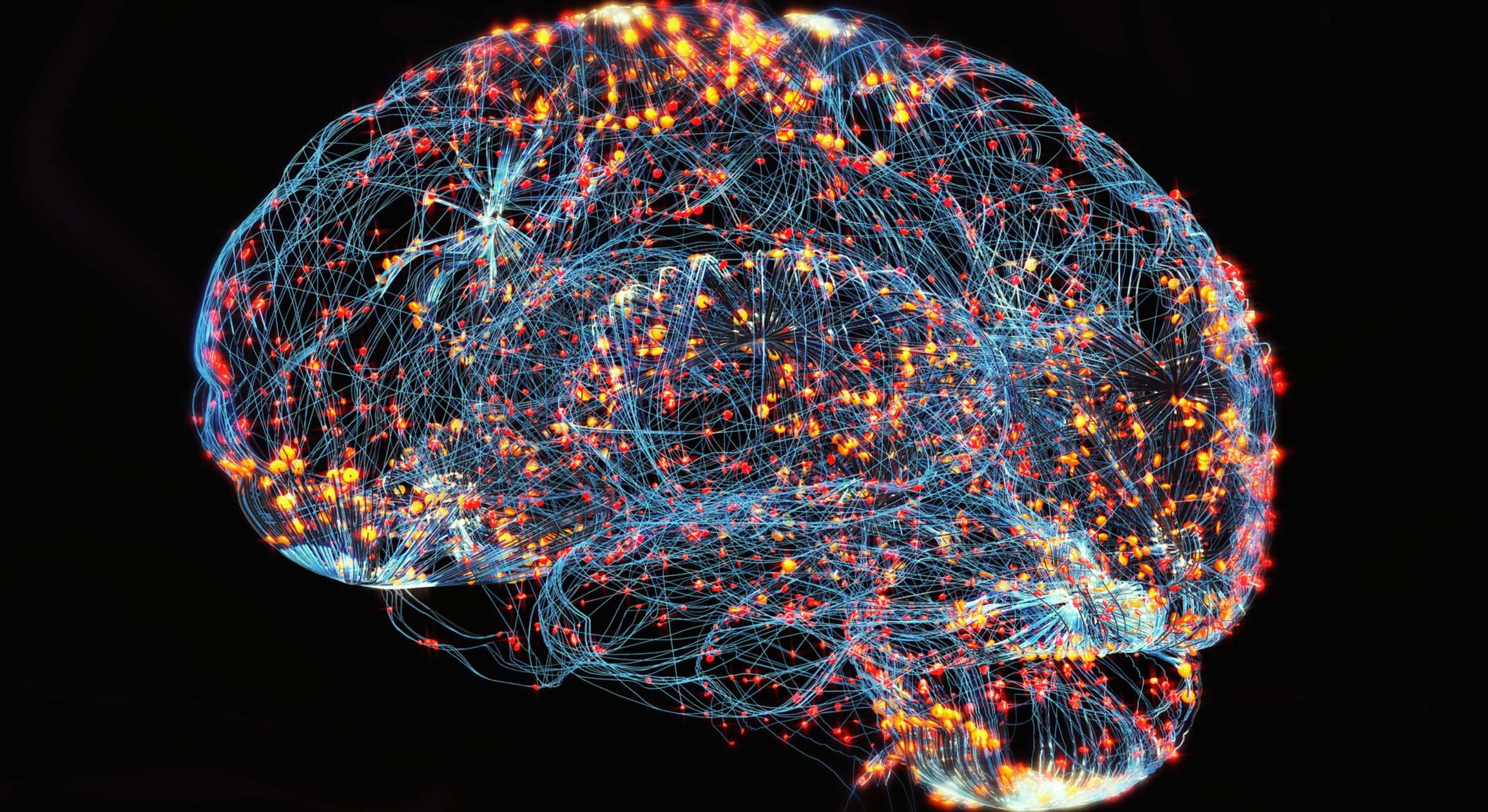 Cerebro con conexiones neuronales