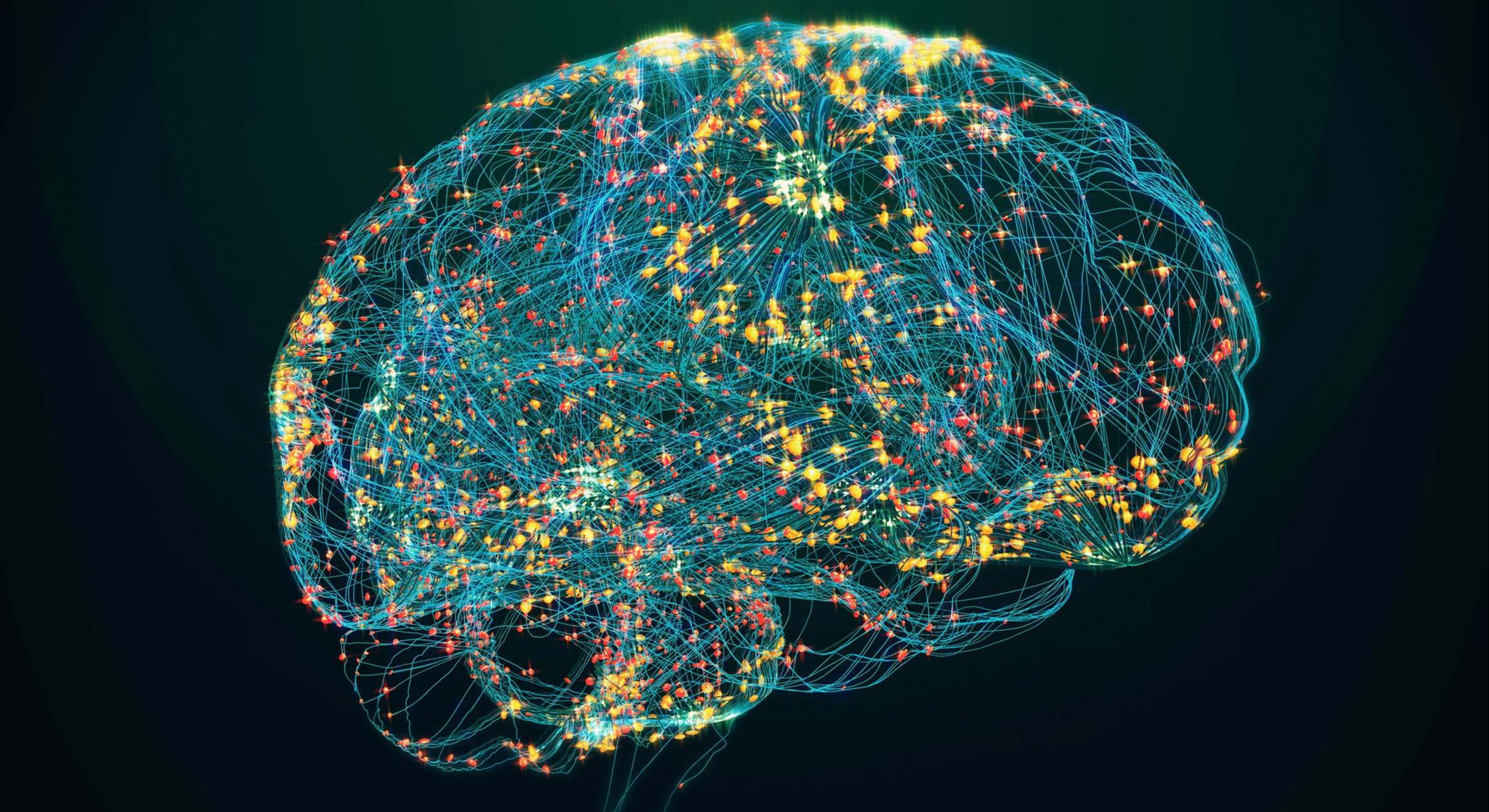 Cerebro.