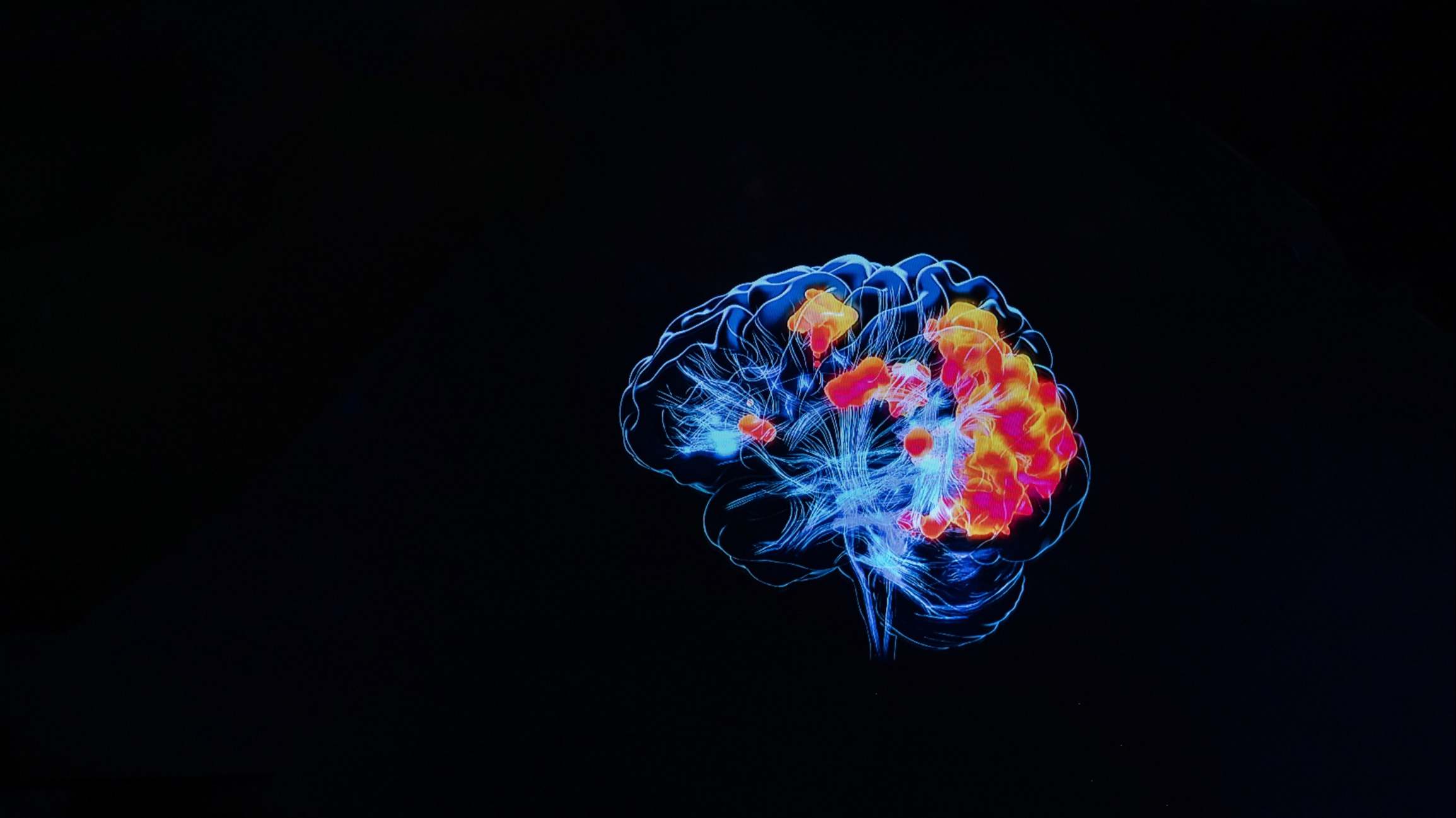 Modelo 3D de cómo se mueven los impulsos nerviosos en el cerebro humano