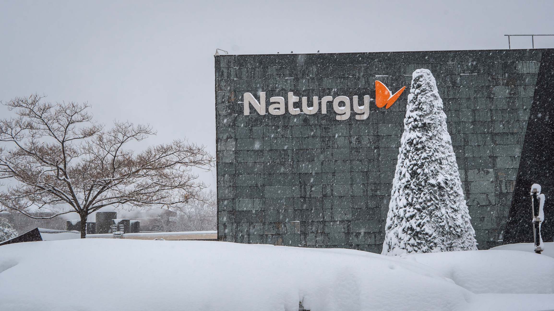 Naturgy, entre las favoritas para aprovechar la volatilidad