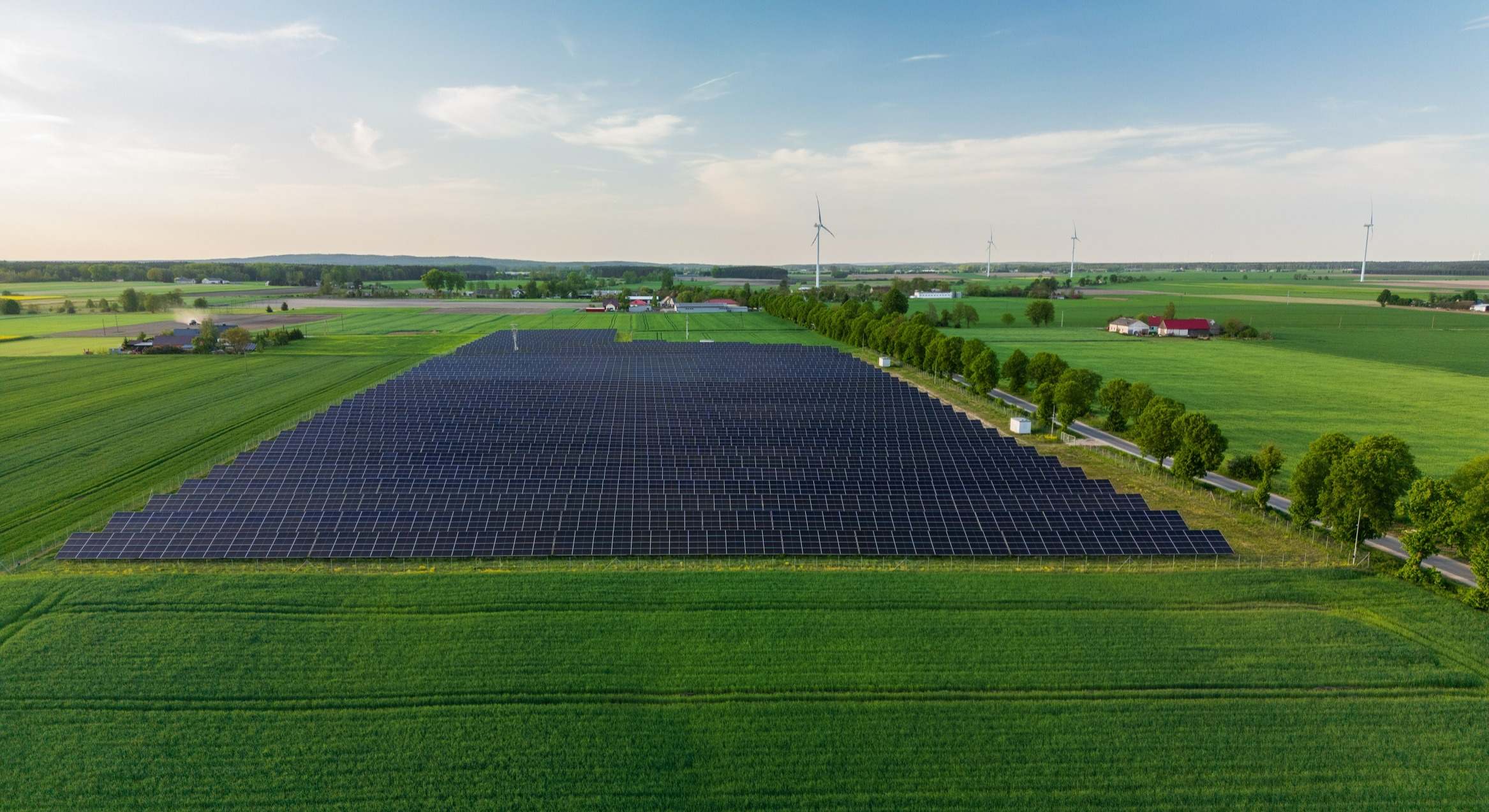 Proyecto solar de EDP en Budzyn (Polonia). / EDP