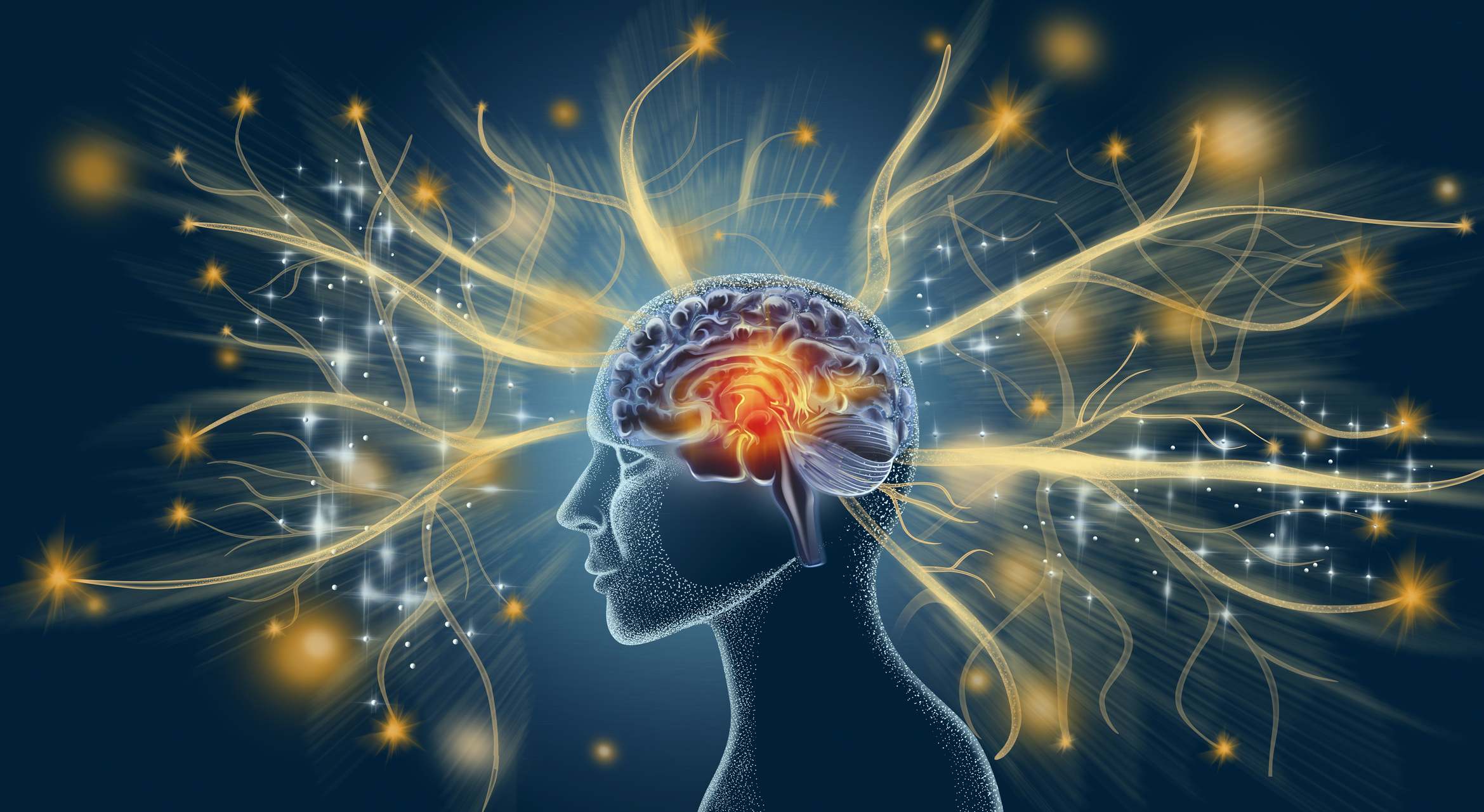 Ilustración de un cerebro y neuronas