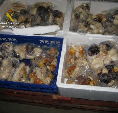 decomisoalimentos.jpg