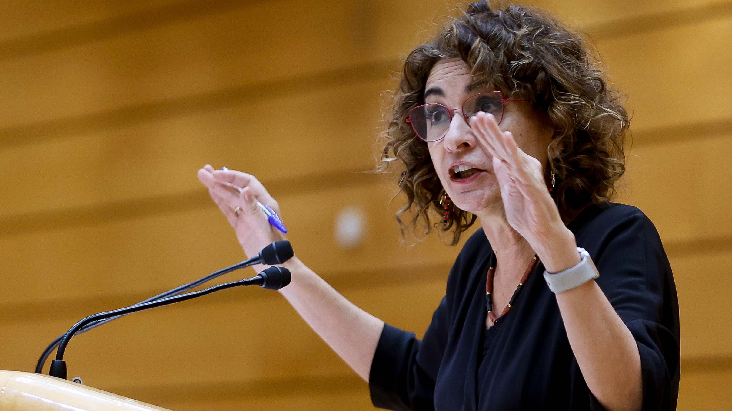 María Jesús Montero en el Senado