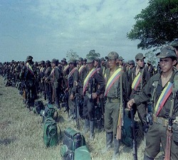 farc1.jpg
