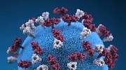 Liberbank admite incertidumbre sobre el impacto del coronavirus en sus objetivos de 2020