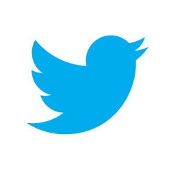 twitter-nuevo.jpg