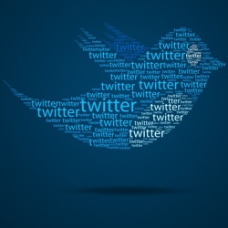 TwitterPajaro.jpg