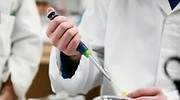 Una vacuna centenaria contra la tuberculosis podría ser el primer arma contra el coronavirus