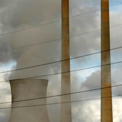 carbon-planta.jpg