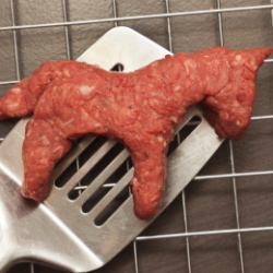 carne-caballo2.jpg
