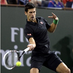 djokovic-hanescu2-indian.jpg