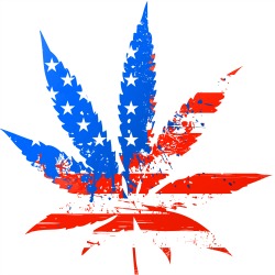 marihuana.jpg