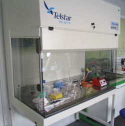 naturea3.jpg