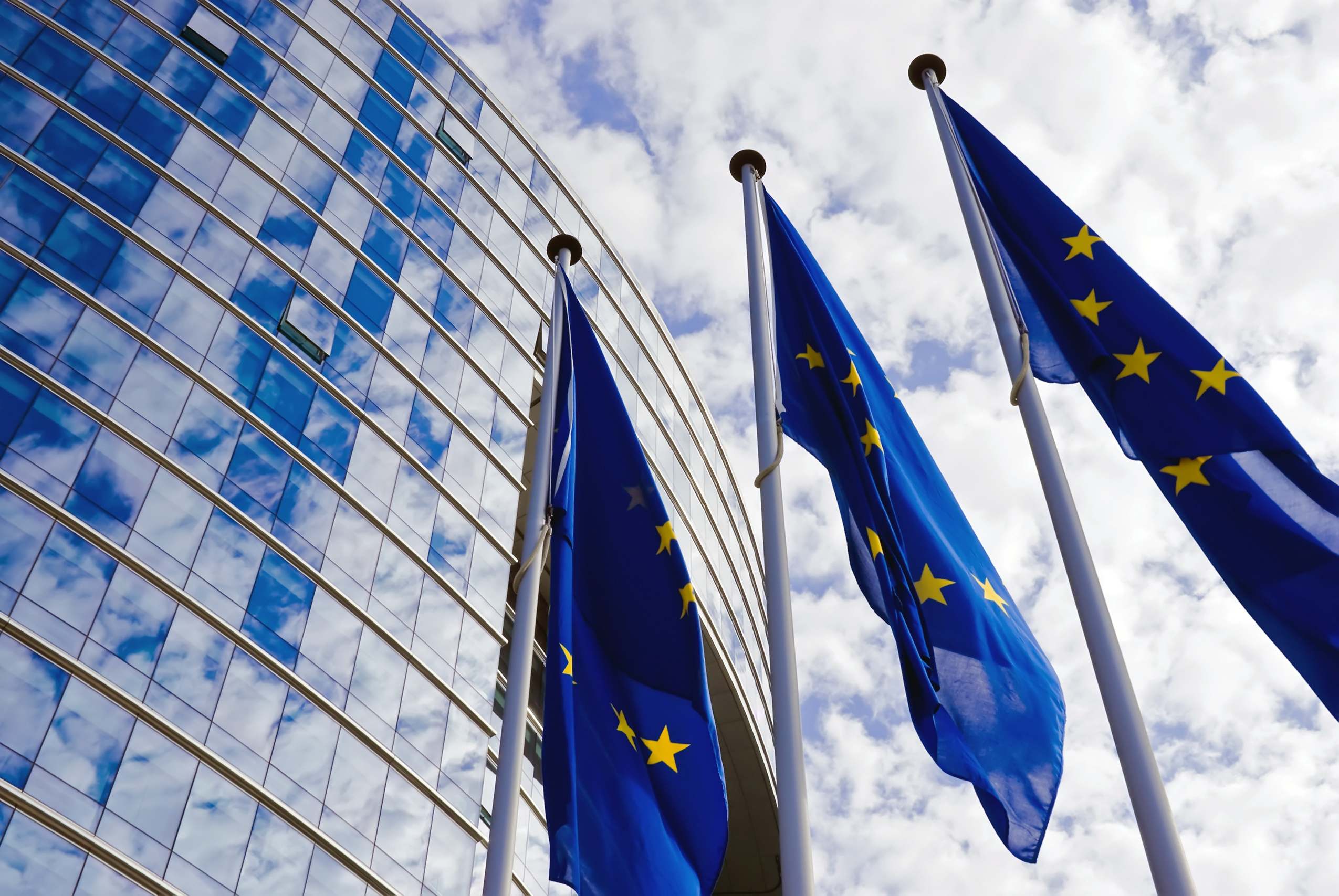 Banderas de la Unión Europea. EE
