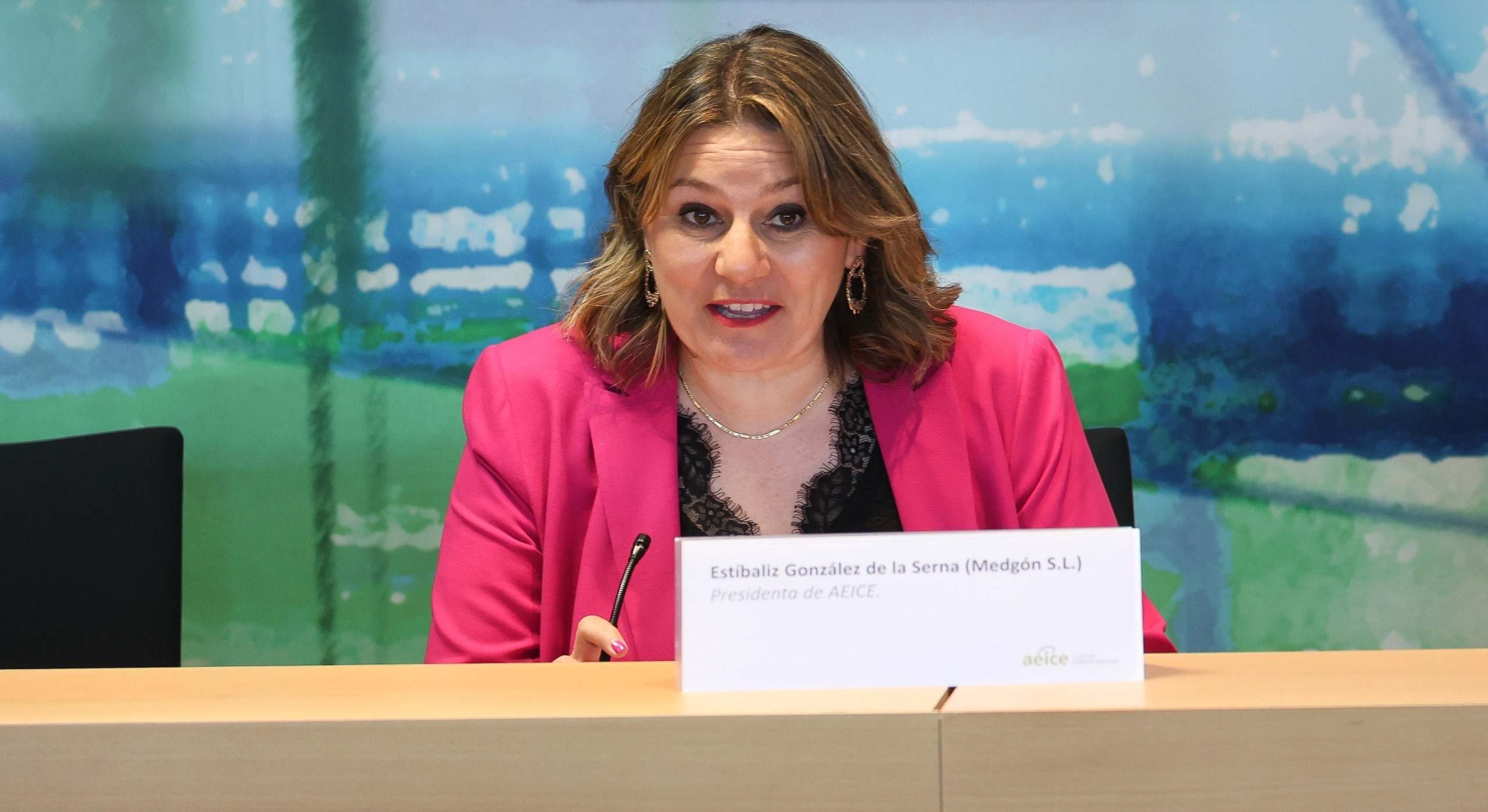 Estíbaliz González de la Serna, nueva presidenta de AEICE