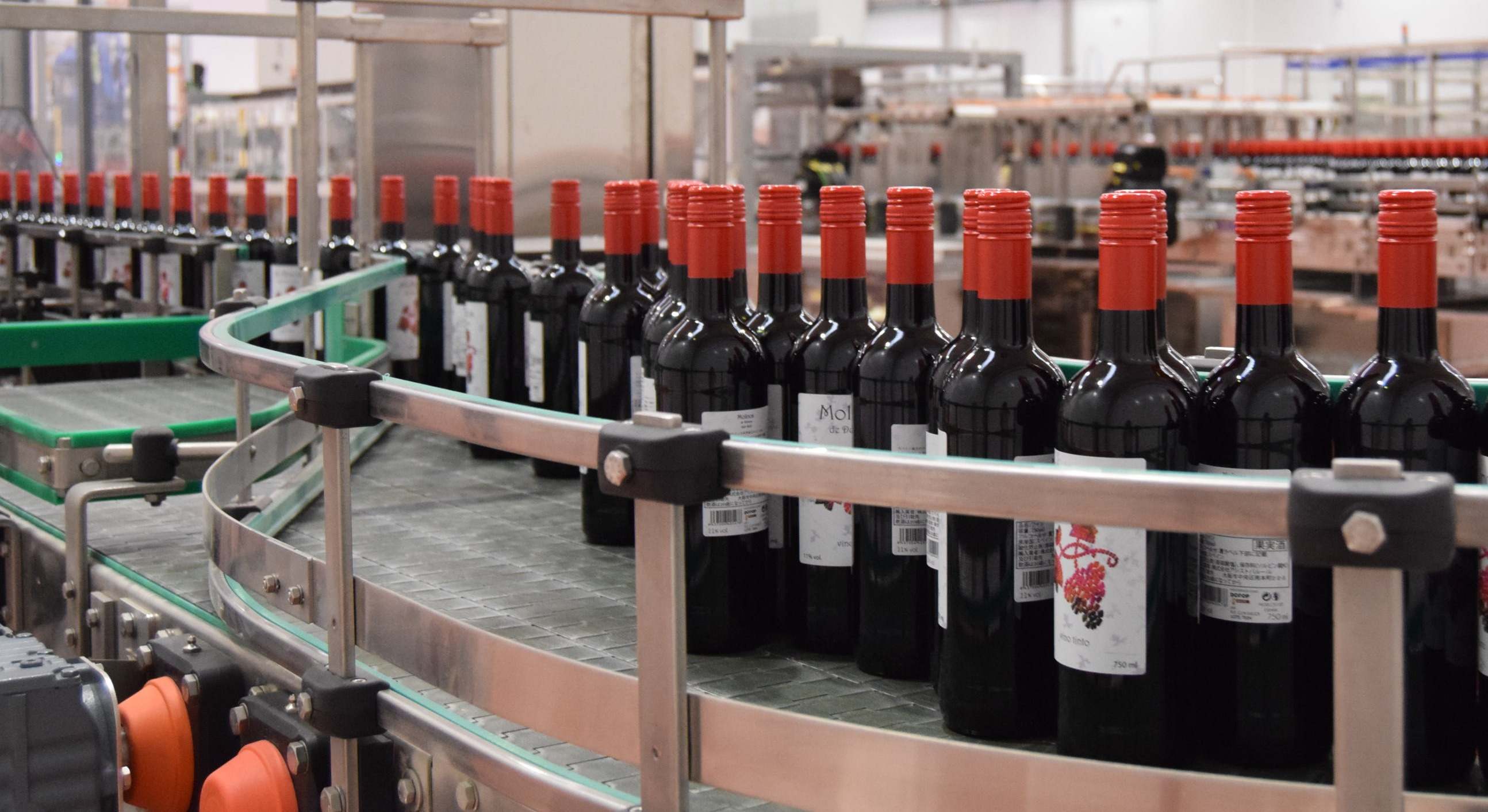 Una línea de embotellado de vino.