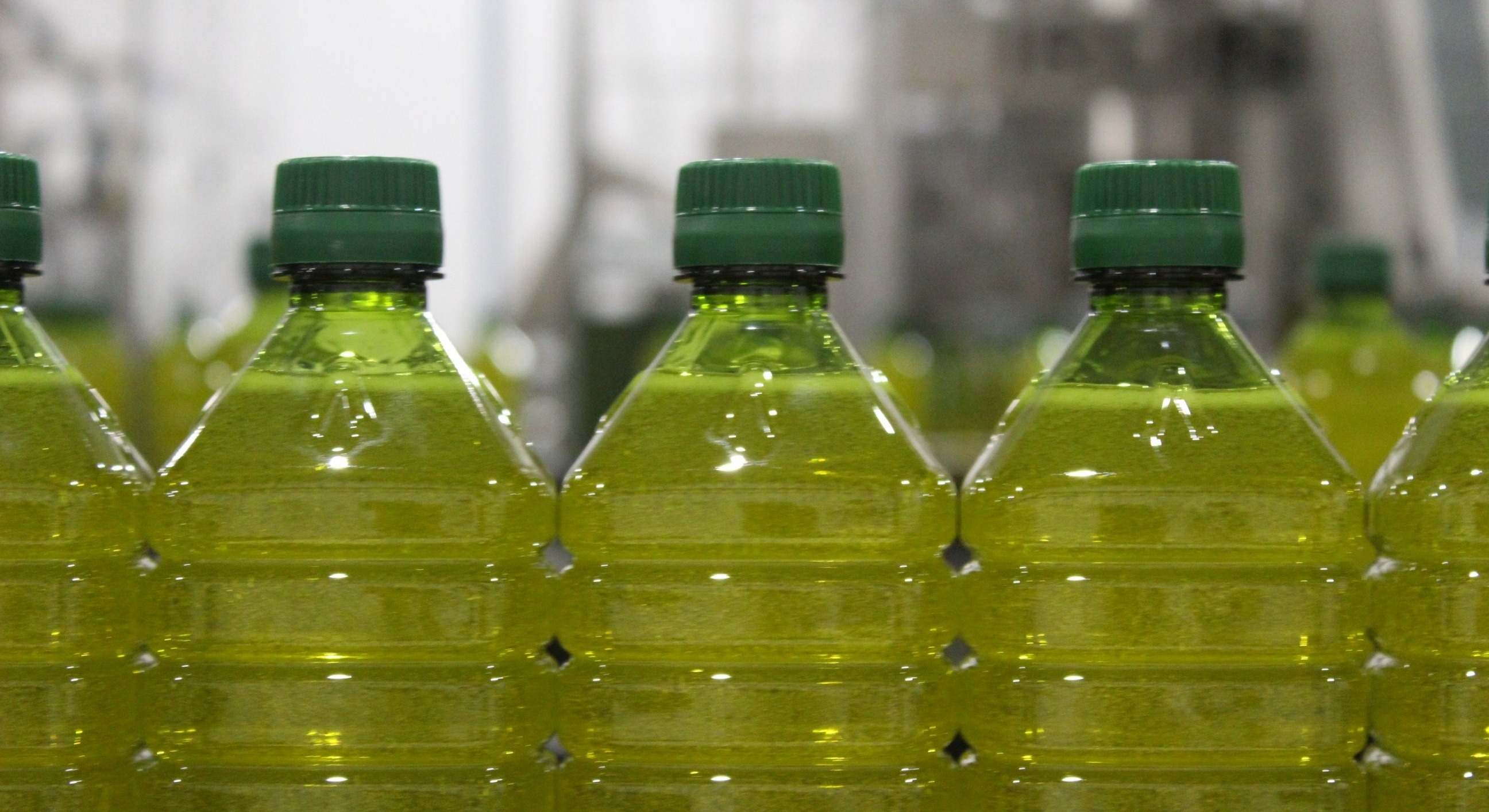 Imagen de recurso de una embotelladora de aceite de oliva.