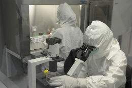 investigacion-Bcn.jpg