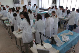 medicina_estudiantes.jpg