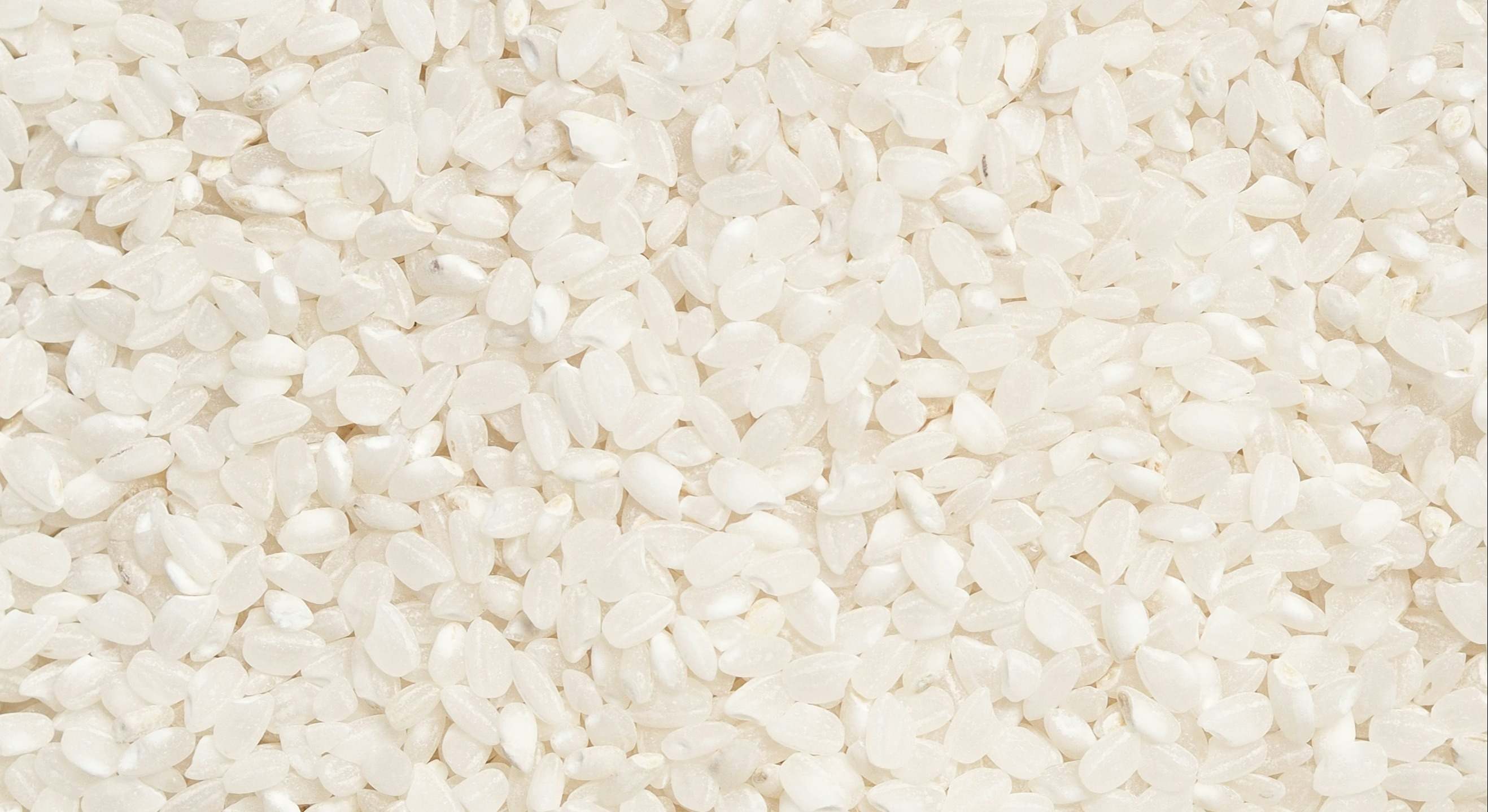 El arroz es un carbohidrato complejo que proporciona energía al cuerpo