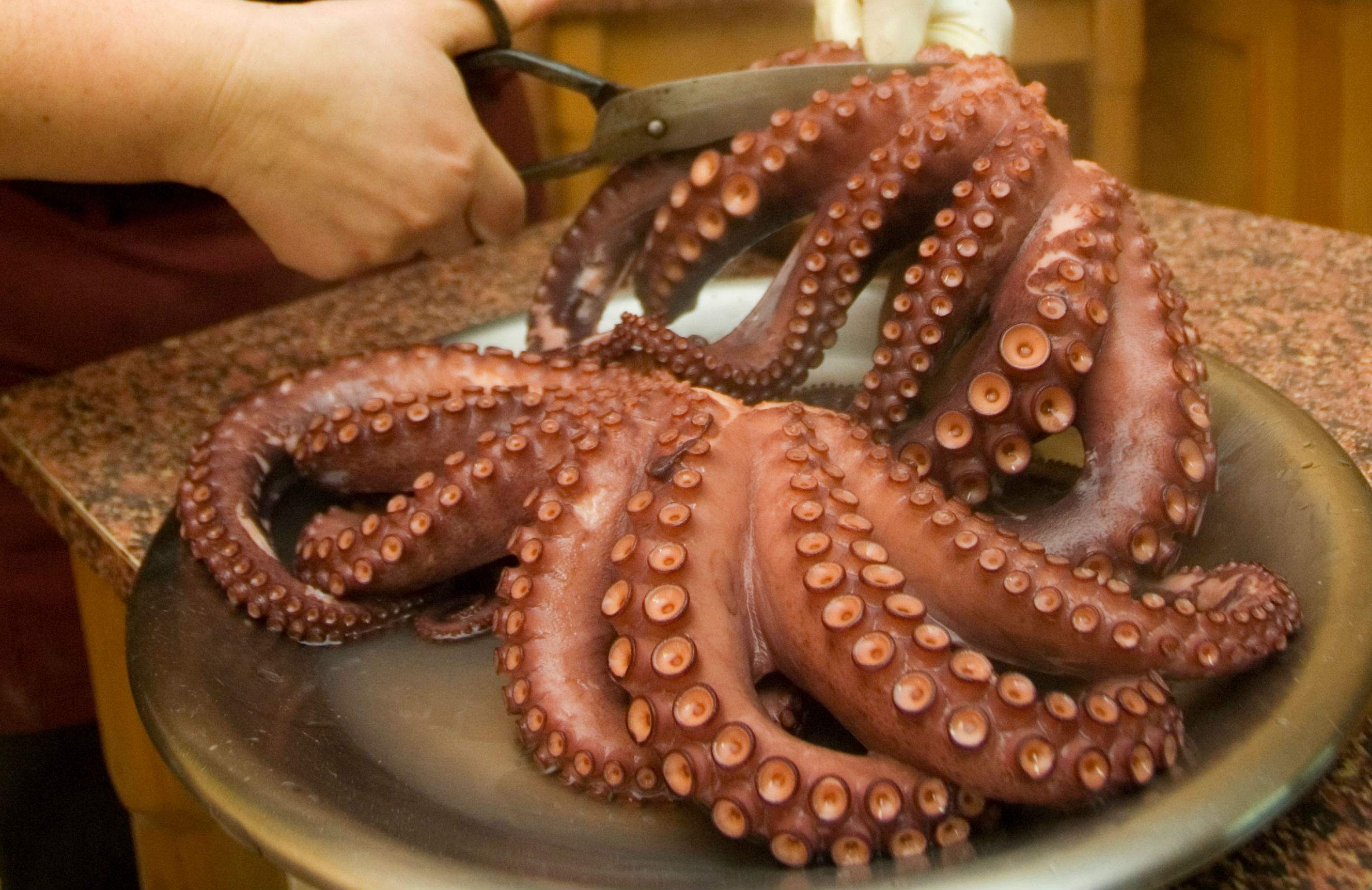 pulpo-2.jpg
