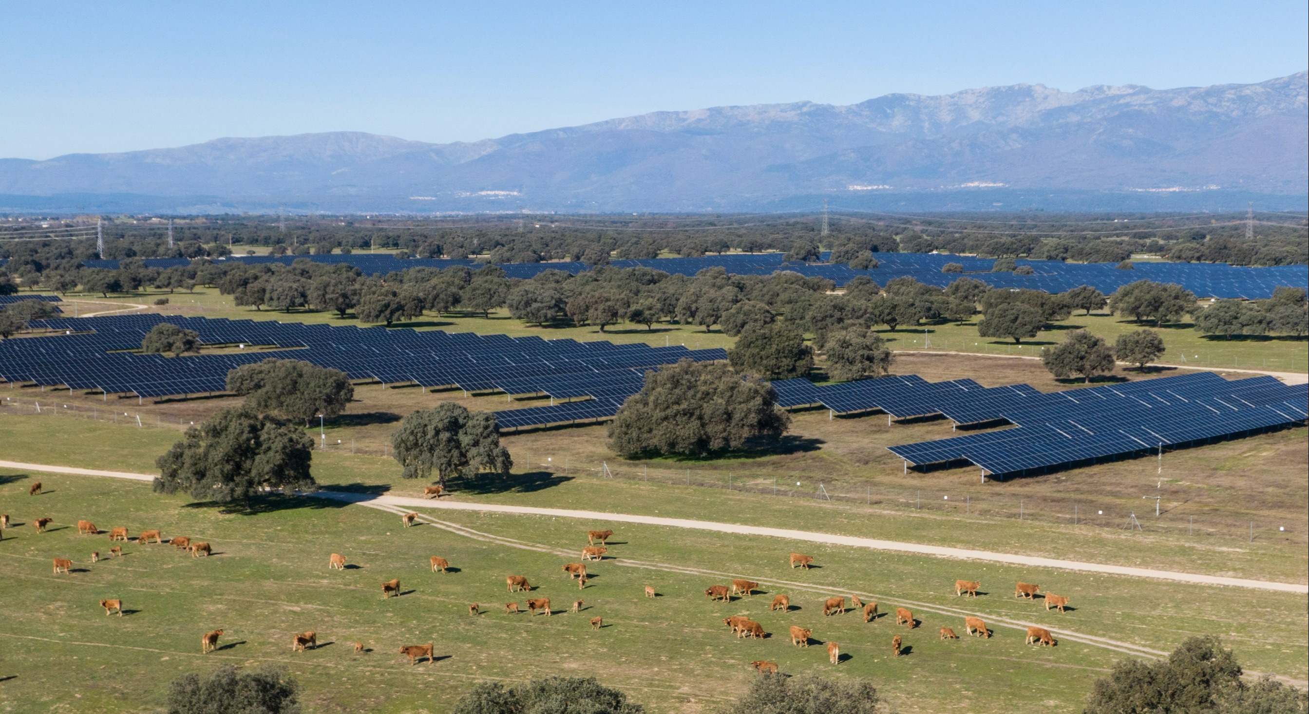 Planta solar Statkraft Talayuela II, Cáceres.jpg