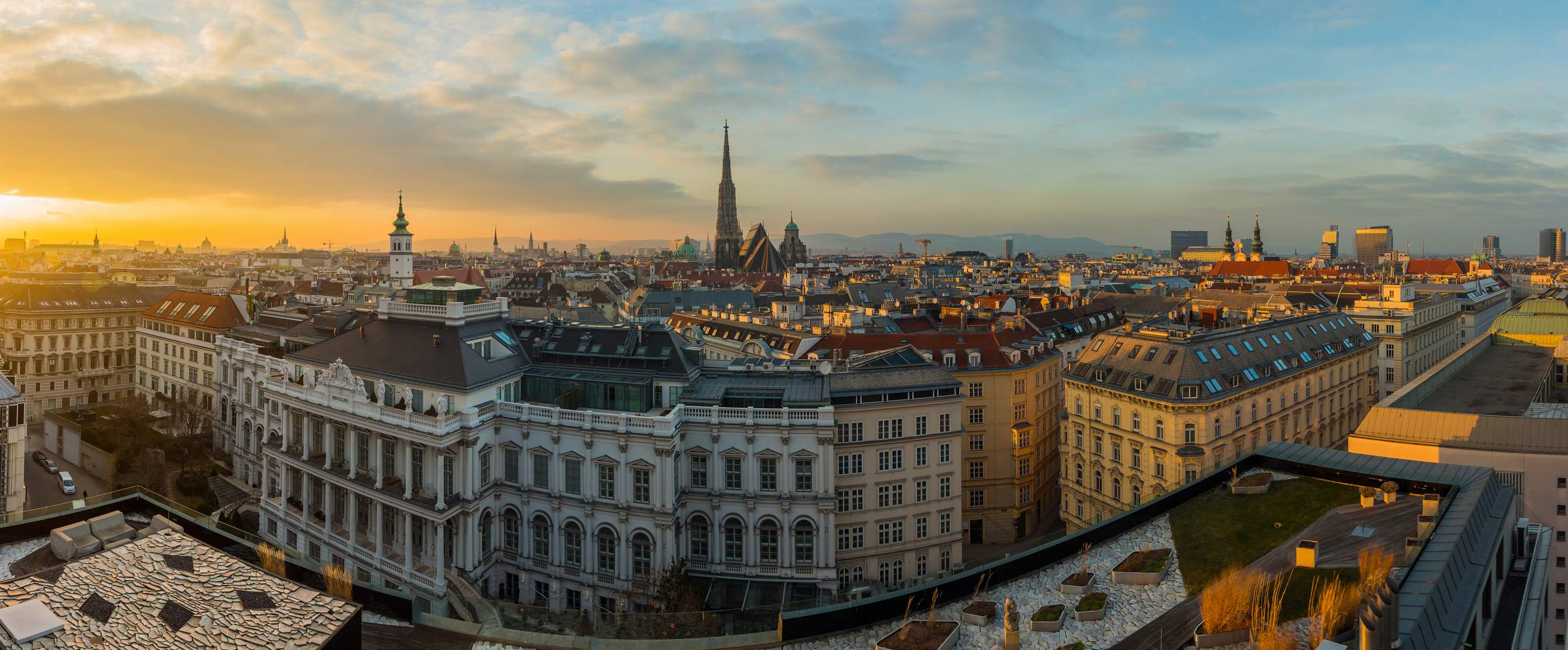 Viena.jpg