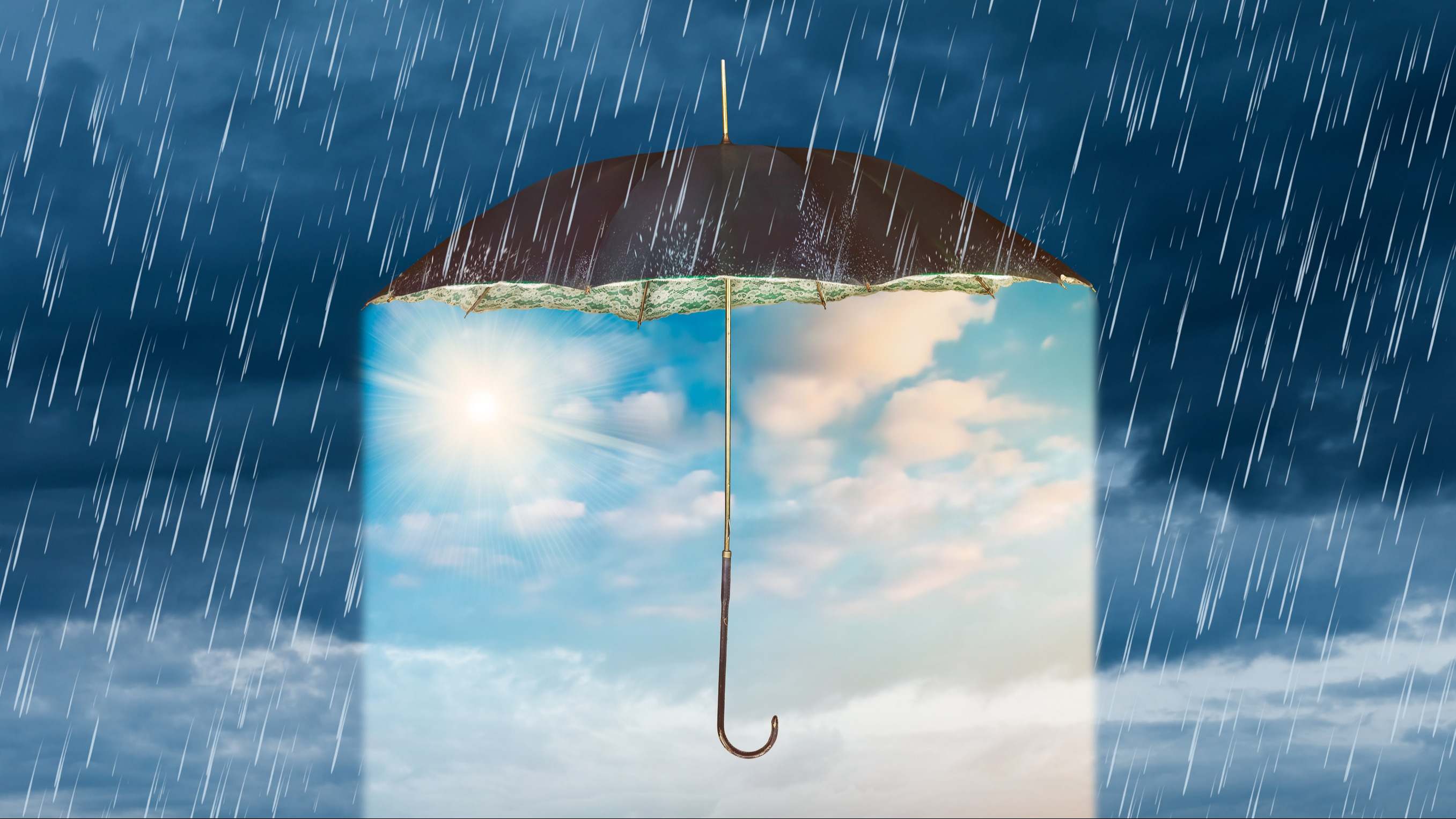 Paraguas bajo la lluvia