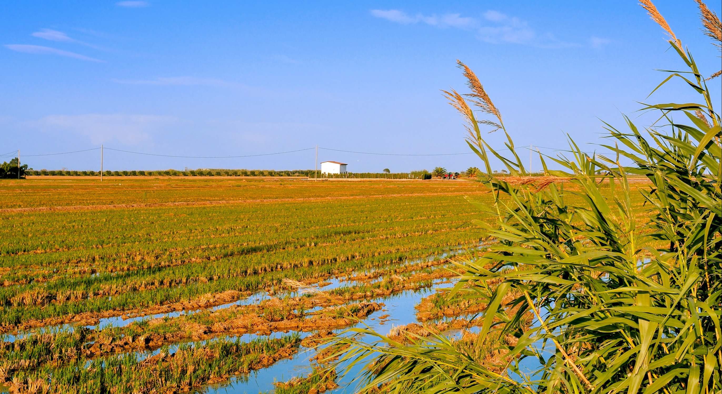 Finca de cultivo en un campo español. / Foto: Dreamstime