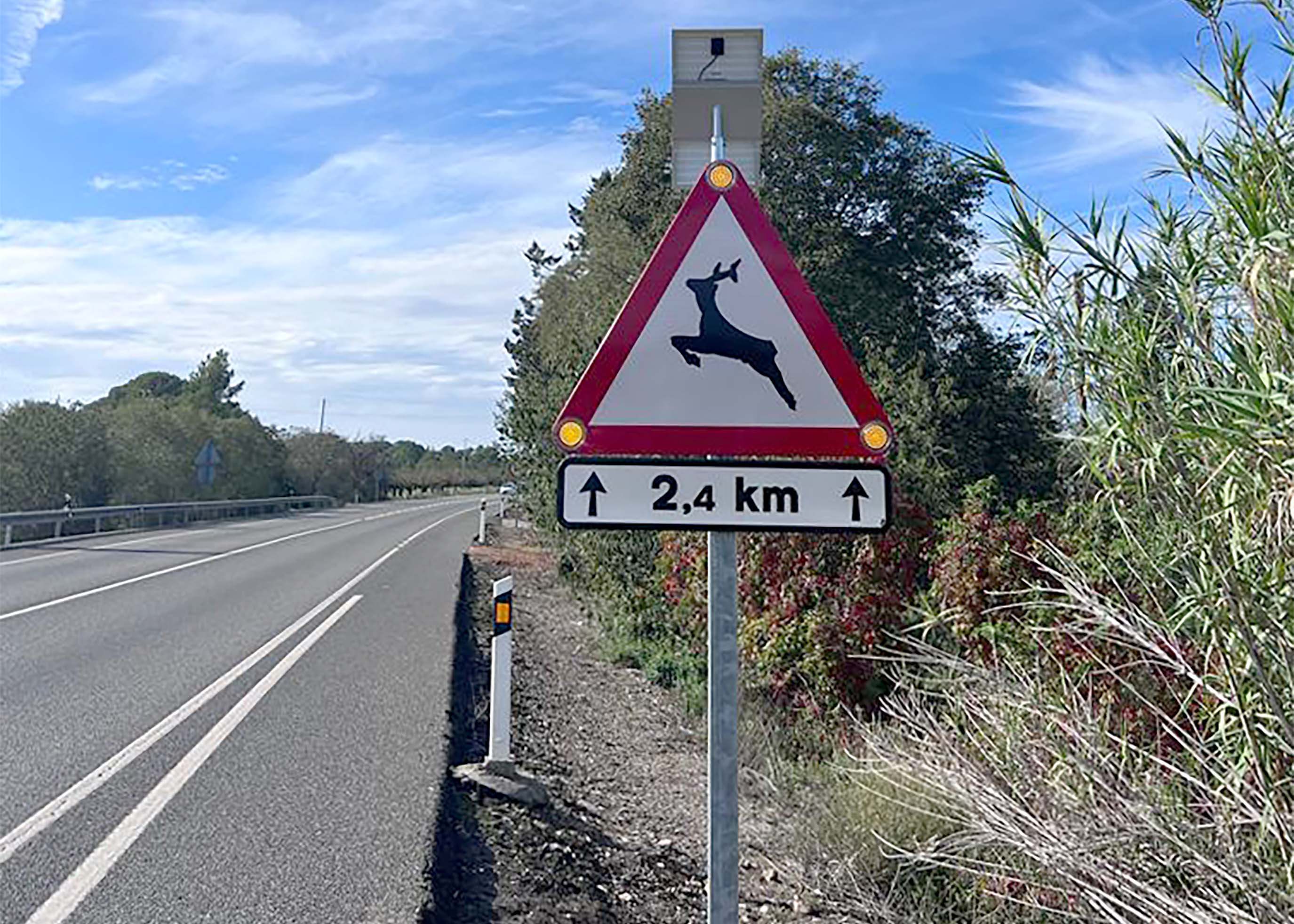 Señal tráfico accidentes animales