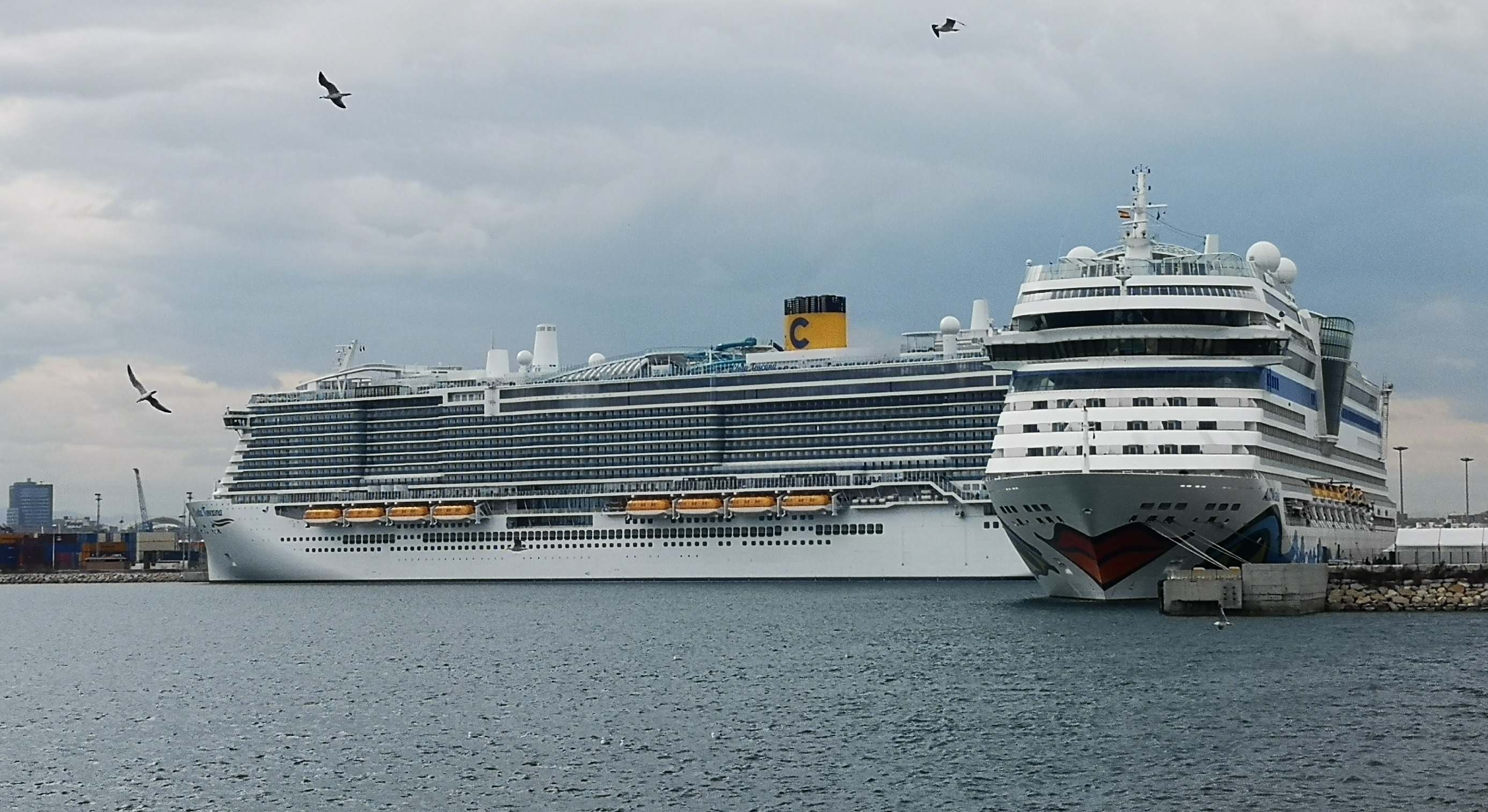Cruceros amarrados en el puerto de Valencia.