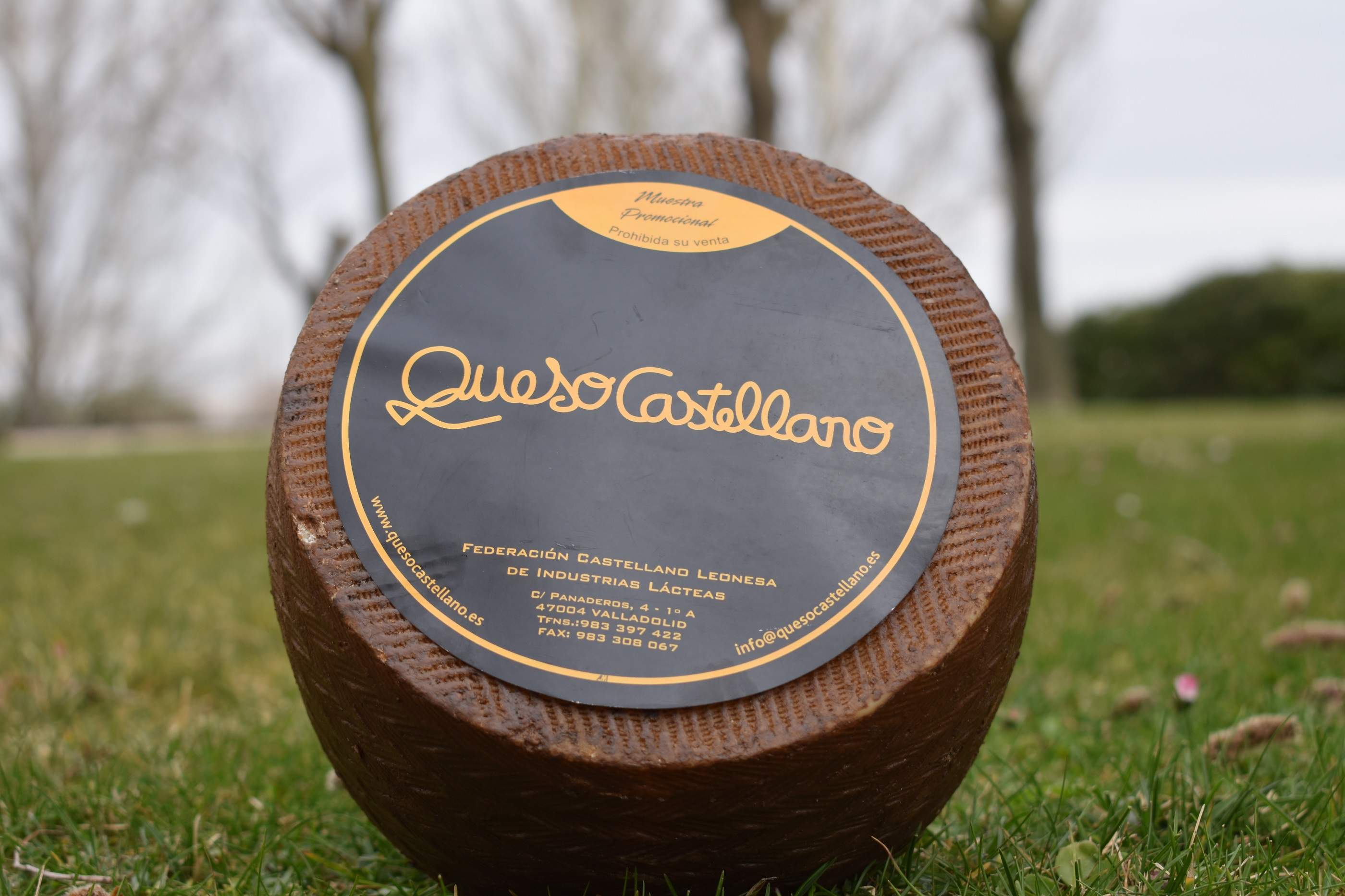 QuesoCastellano2.jpg