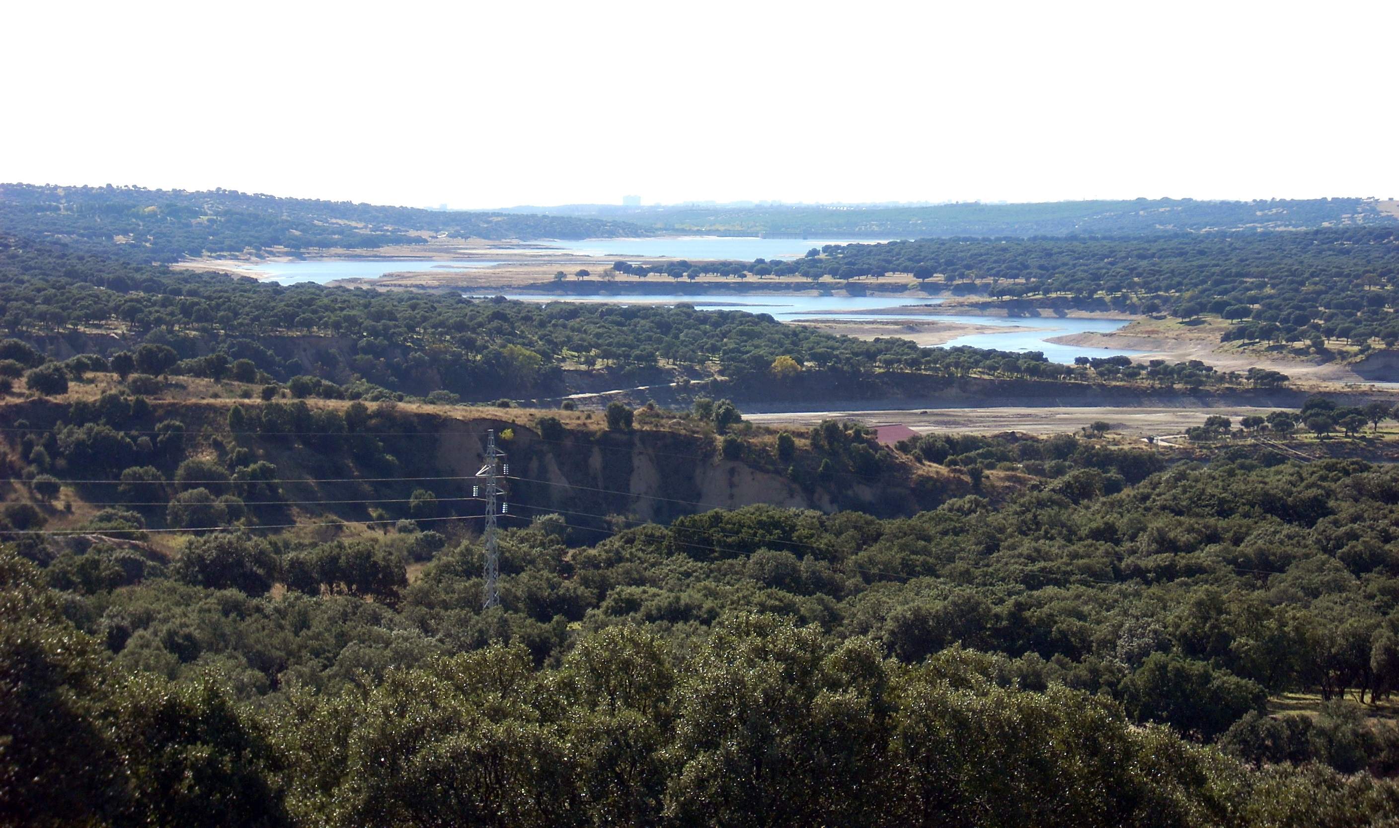 el-pardo-cc.jpg
