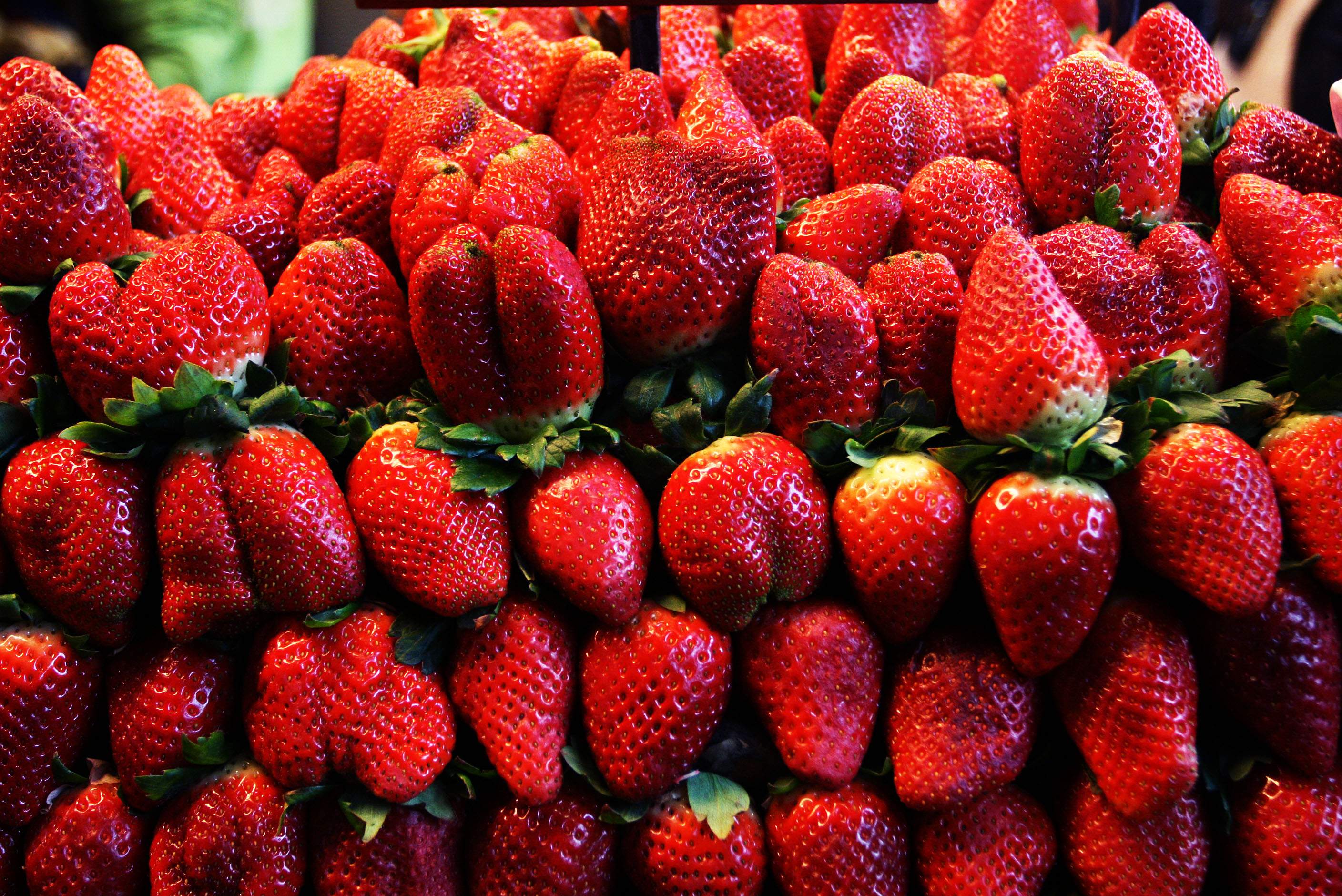 fresas.JPG