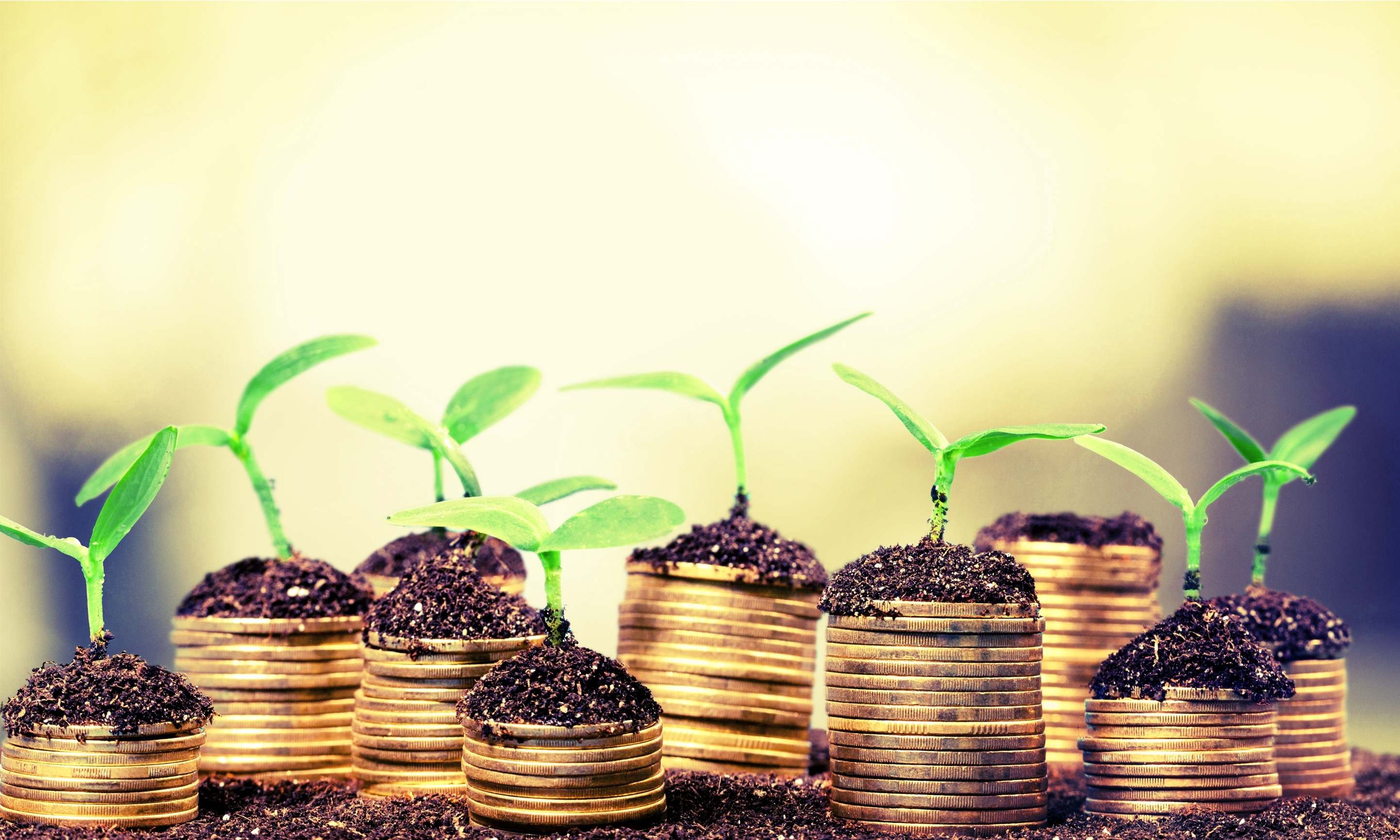 Plantas creciendo en montones de monedas.
