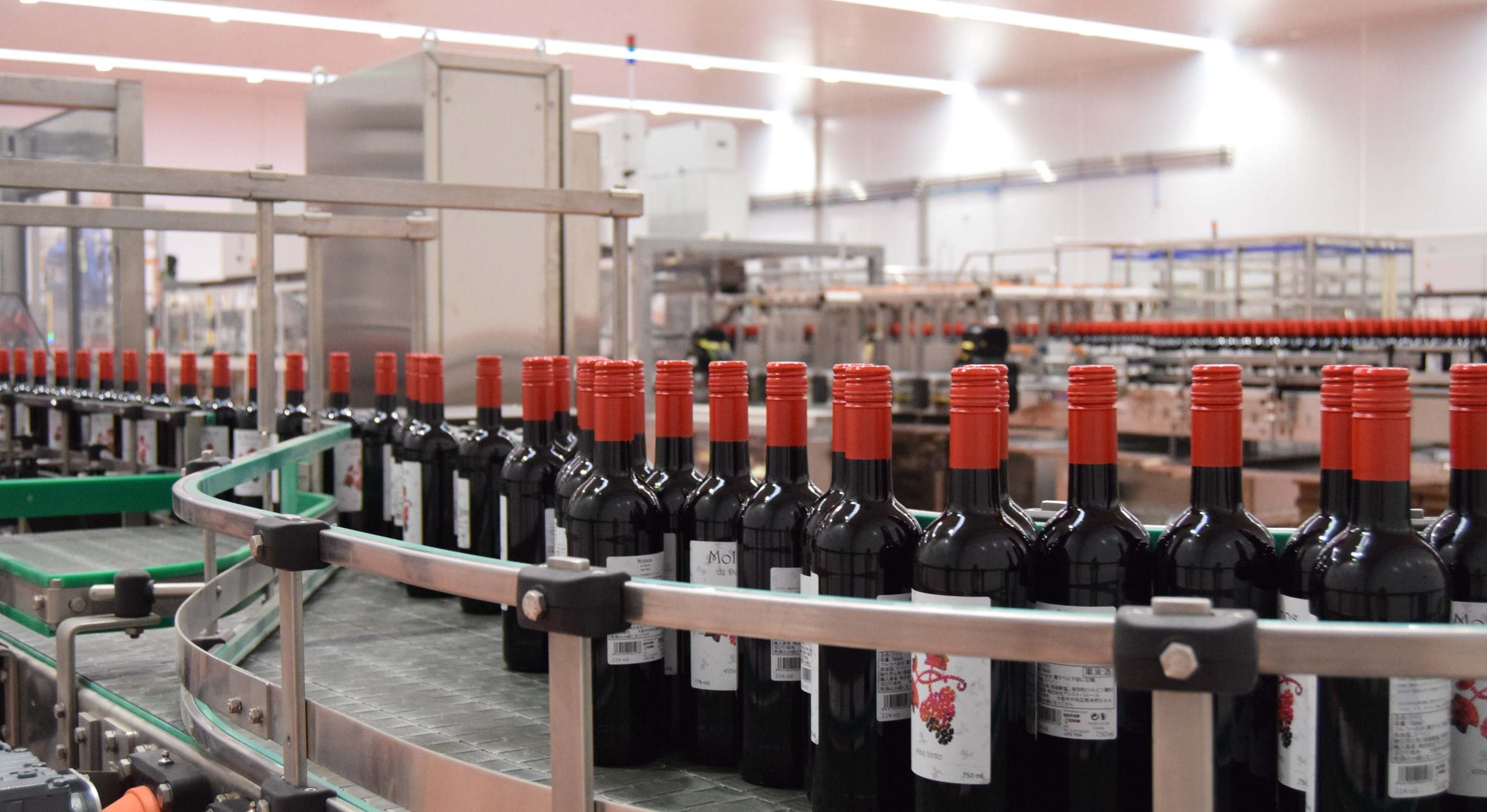 Envasado de botellas de vino