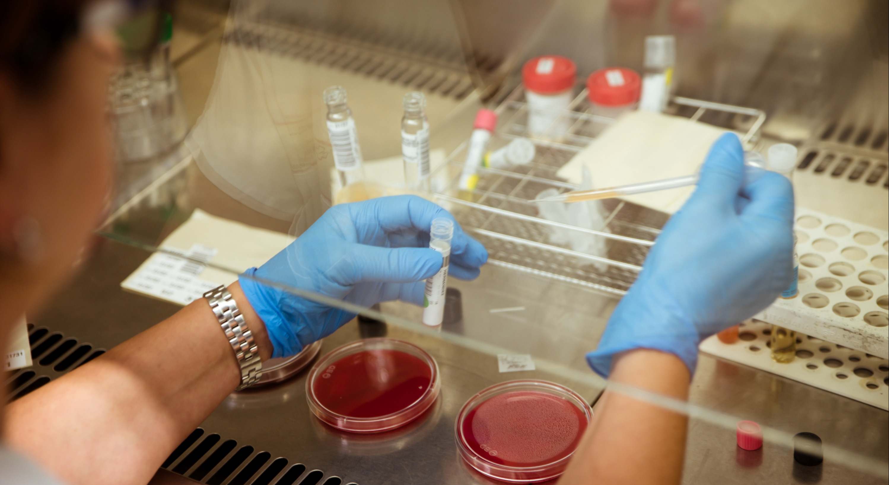 Una científica en el laboratorio