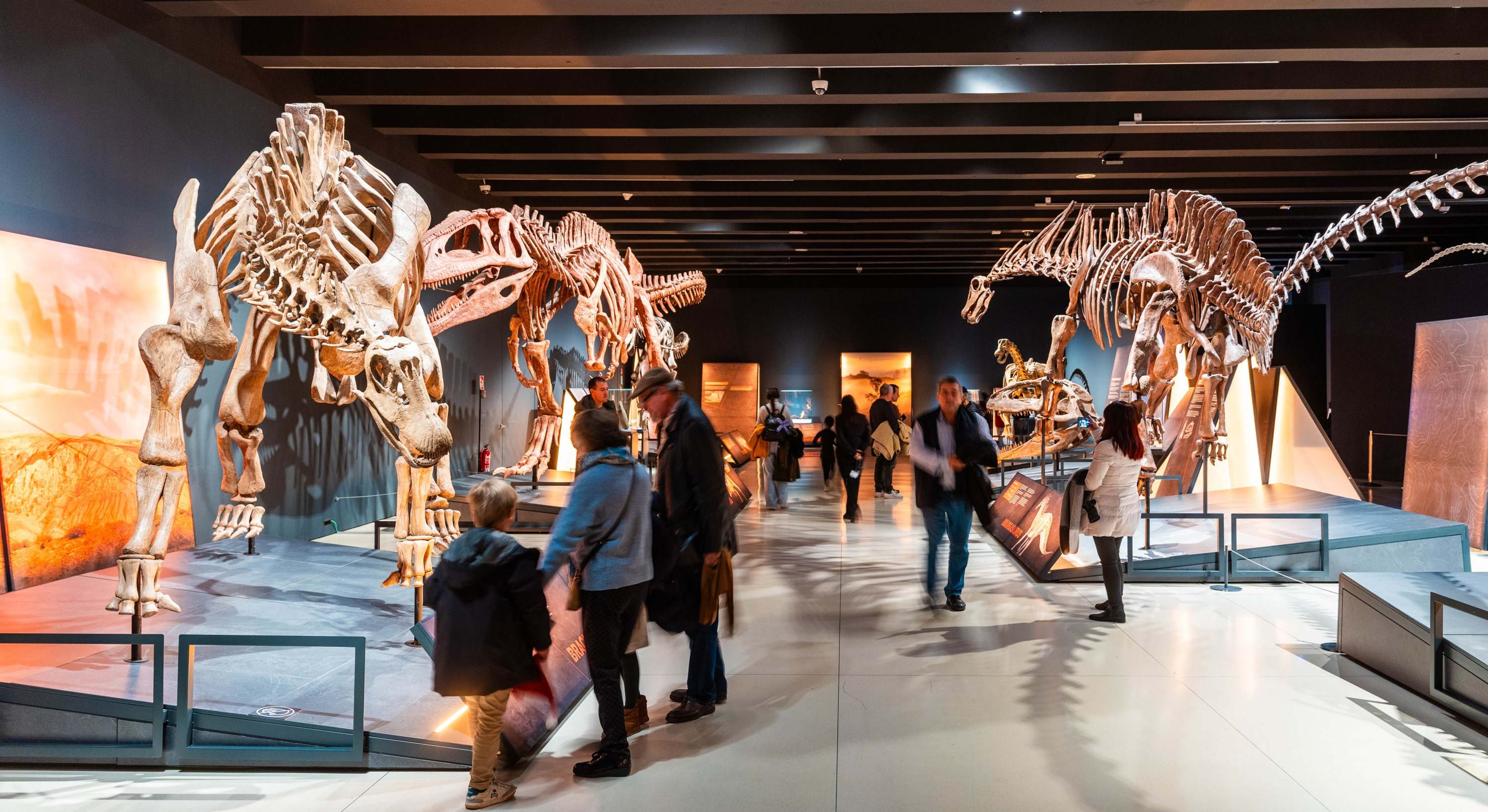 Exposición Dinosaurios de la Patagonia en CaixaForum Madrid.